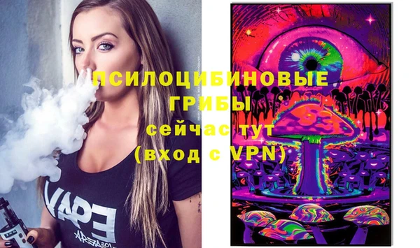 бошки Белокуриха